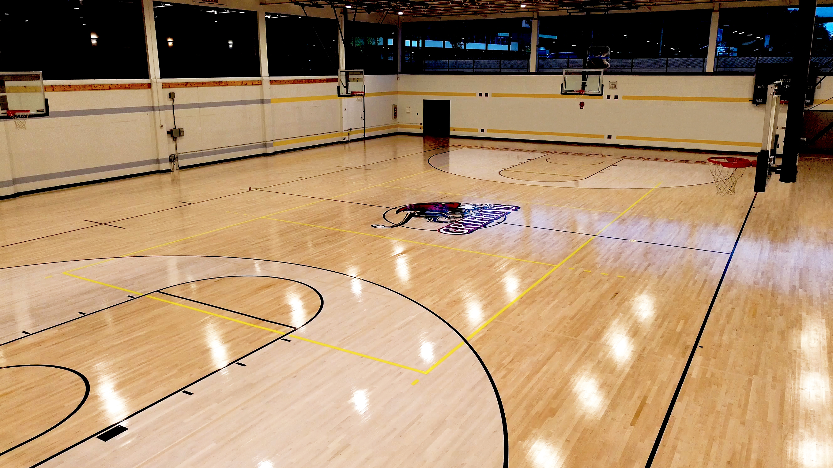 Gwynedd Mercy University - Gymnasium
